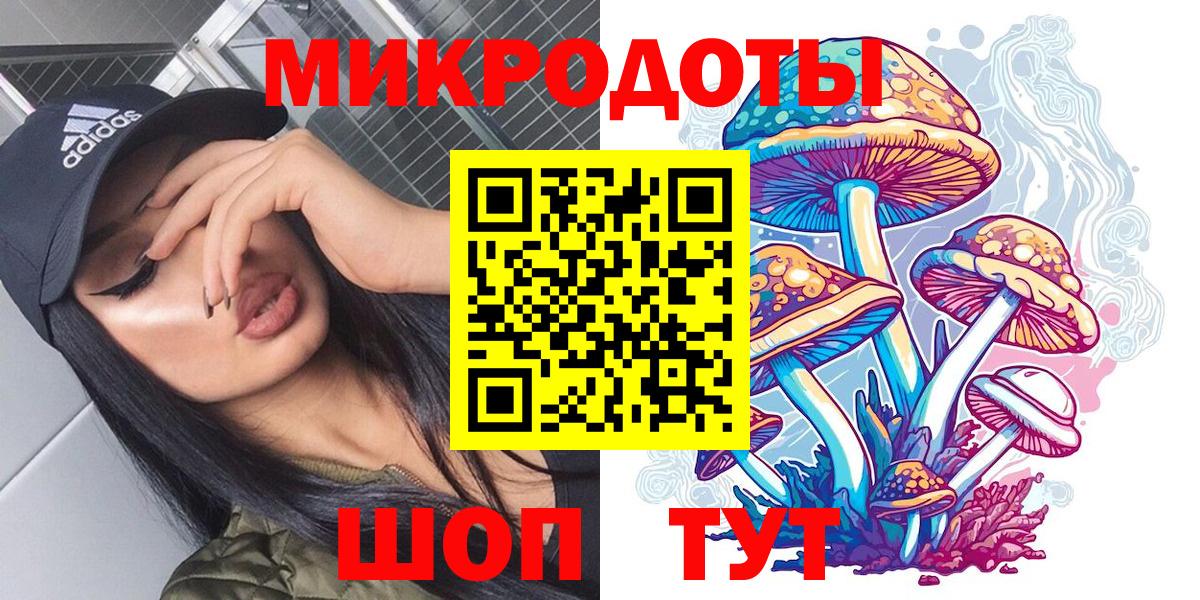 Новокубанск  Псилоцибиновые грибы Cubensis  Вход с VPN 